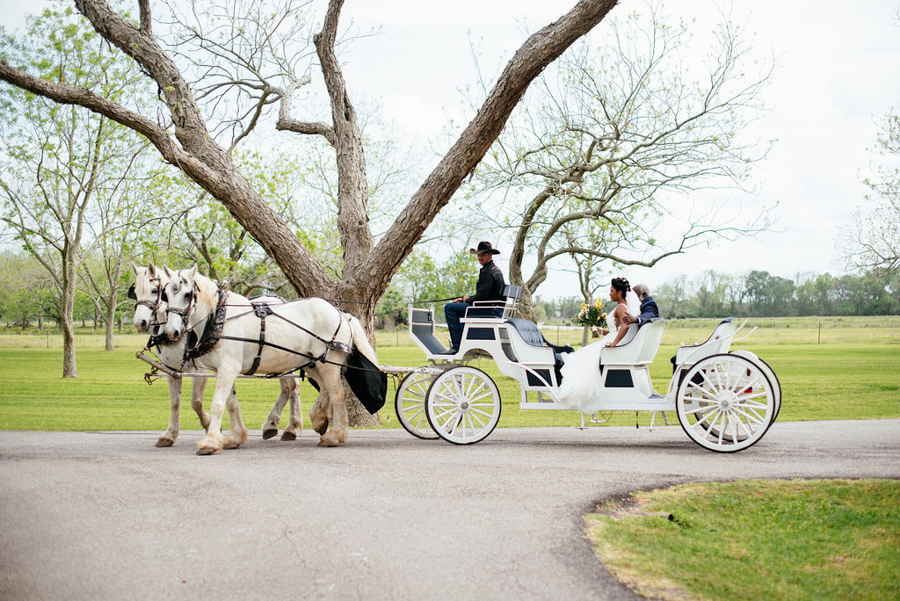 The Orchard at Caney Creek Wedding Photography Wharton Texas