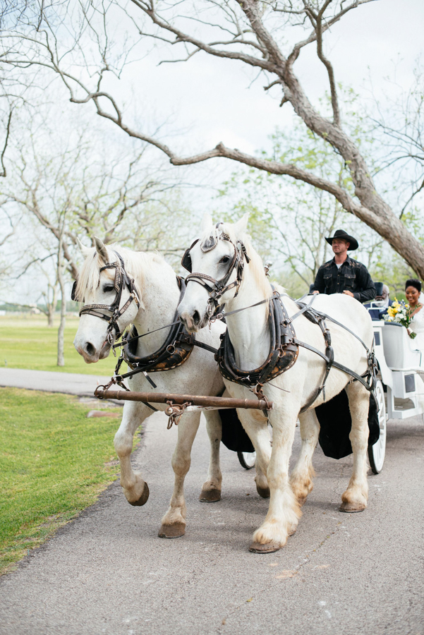 The Orchard at Caney Creek Wedding Photography Wharton Texas